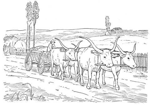 Oxen Pulling A Cart  Coloring Page